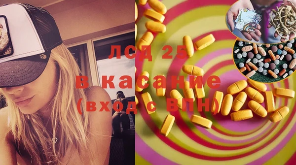 стаф Алексин