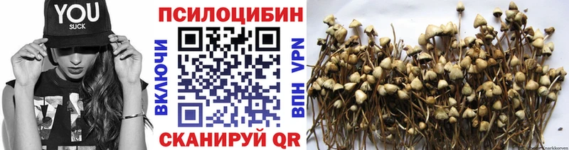 Галлюциногенные грибы мицелий  ссылка на мегу ТОР  Орлов  где найти наркотики 